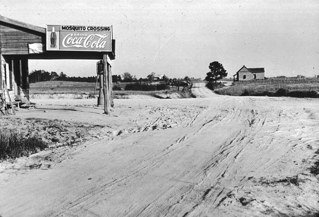 #58 Mosquito Crossing near Greensboro, Greene County, Georgia, 1939