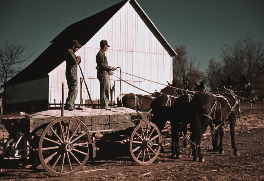 #88 Southeastern Georgia, 1940