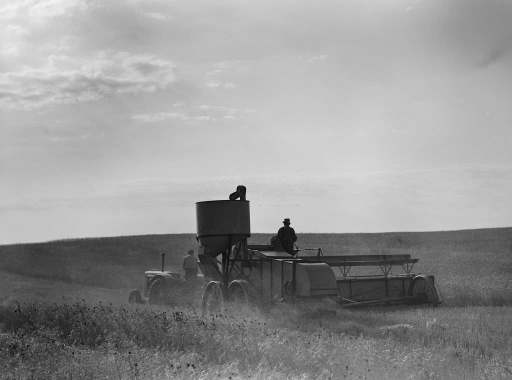 #98 Two Farmers Harvesting Wheat with Combine, near Culbertson, Montana, August 1941