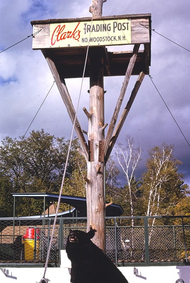 #16 Clark’s Trading Post, North Woodstock, New Hampshire, 1991