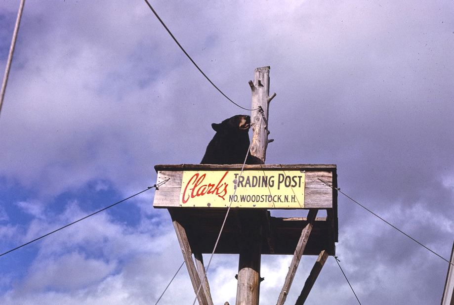 #84 Clark’s Trading Post, North Woodstock, New Hampshire, 1995