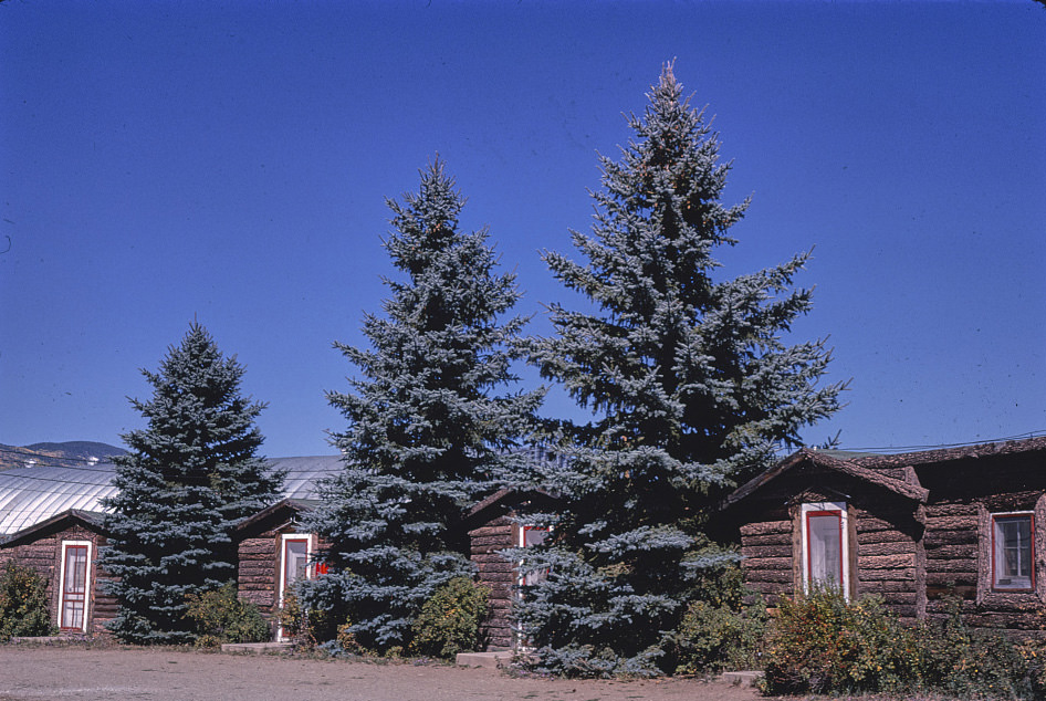 #117 Horseshoe Motel, Eagle Nest, New Mexico, 1980