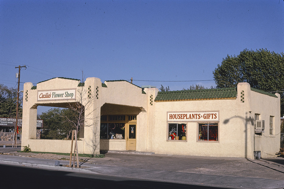 #168 Cecilia’s Flower Shop (gas Station), Silver City, New Mexico, 1991