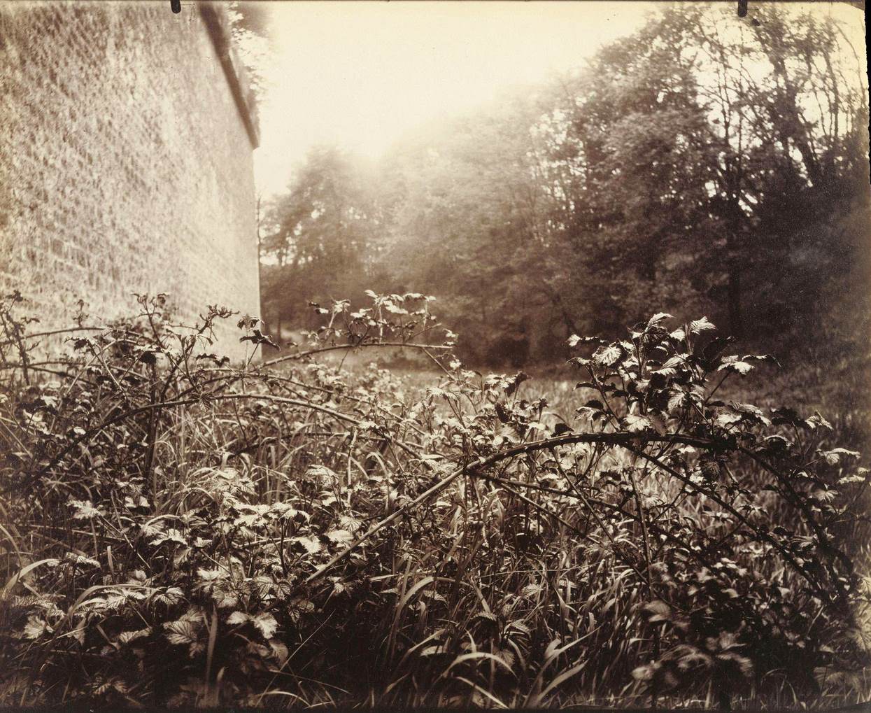 #104 Porte Dauphine, 1913