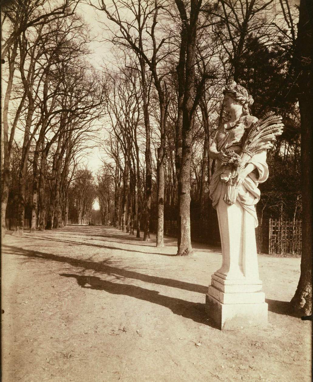 #136 The Park, Versailles, 1920