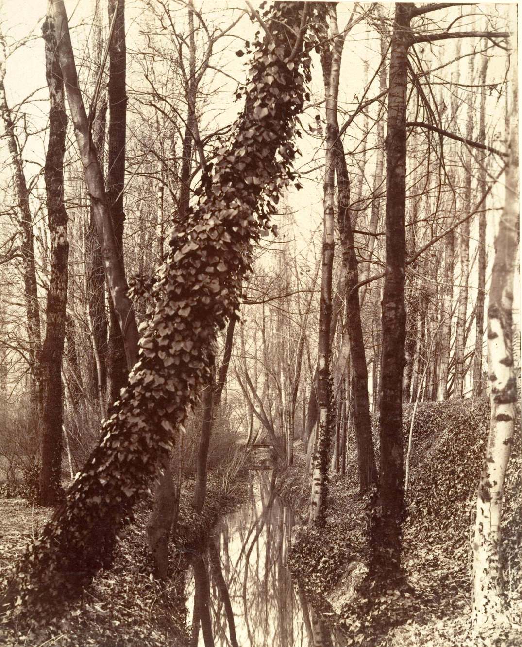 #38 La Bievre, Boulevard d’Italie 13th disappeared in 1891; today rue Edmond Gondinet,