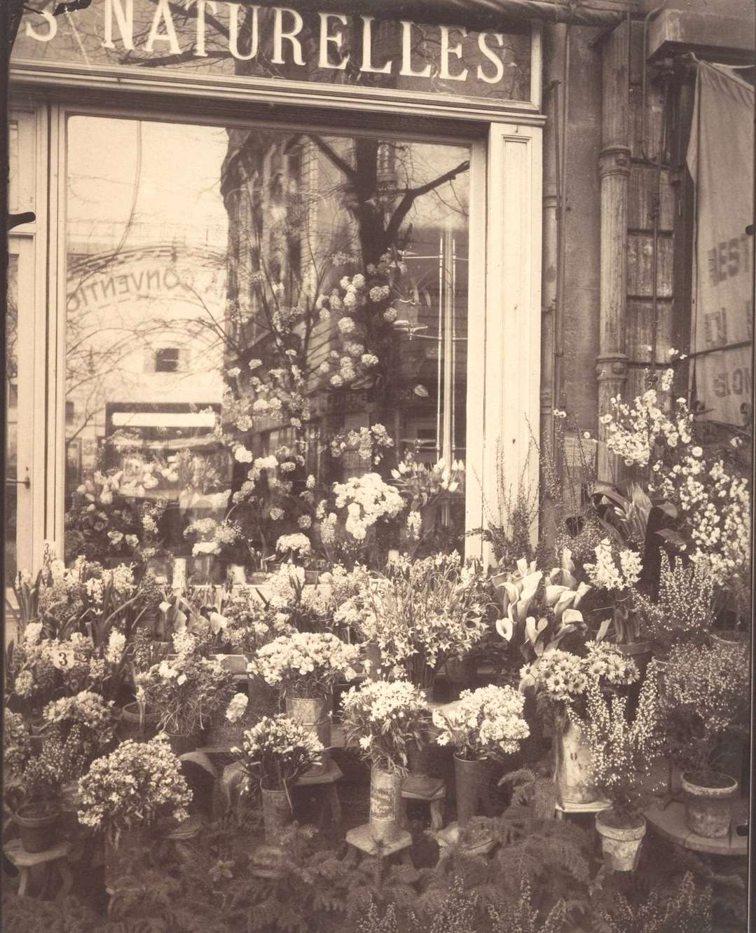 #5 Boutique Fleurs, 1925
