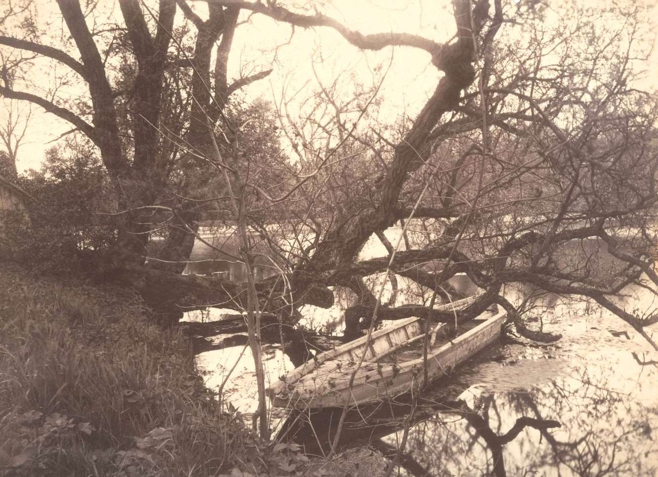 #6 Etang, Ville-d’Avray, 1923