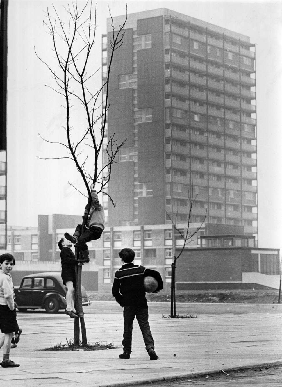 #104 Boys climbing a tree near a modern tower block in the Gorbals area of Glasgow, 1960