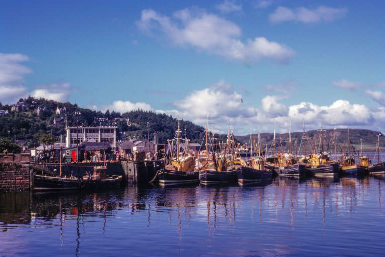 #168 Fishing Boats, Oban Harbour, Scotland, 1960s