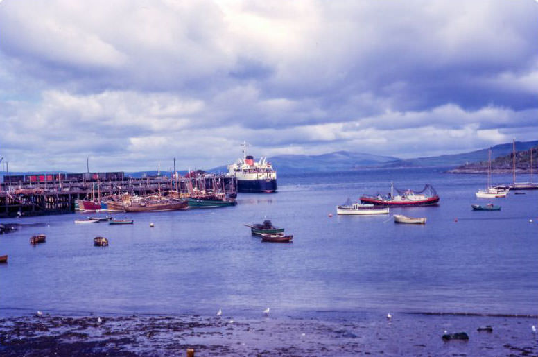 #182 Mallaig Harbour, Scotland, 1960s