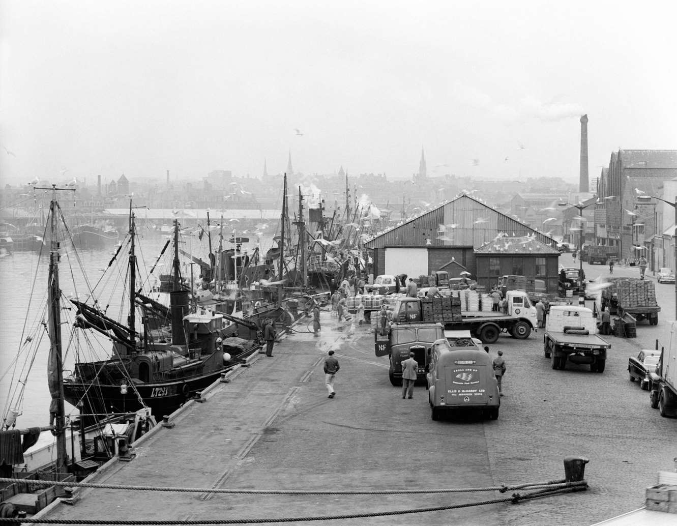 #91 Scottish dockworkers wharfing goods. Scotland, 1960s