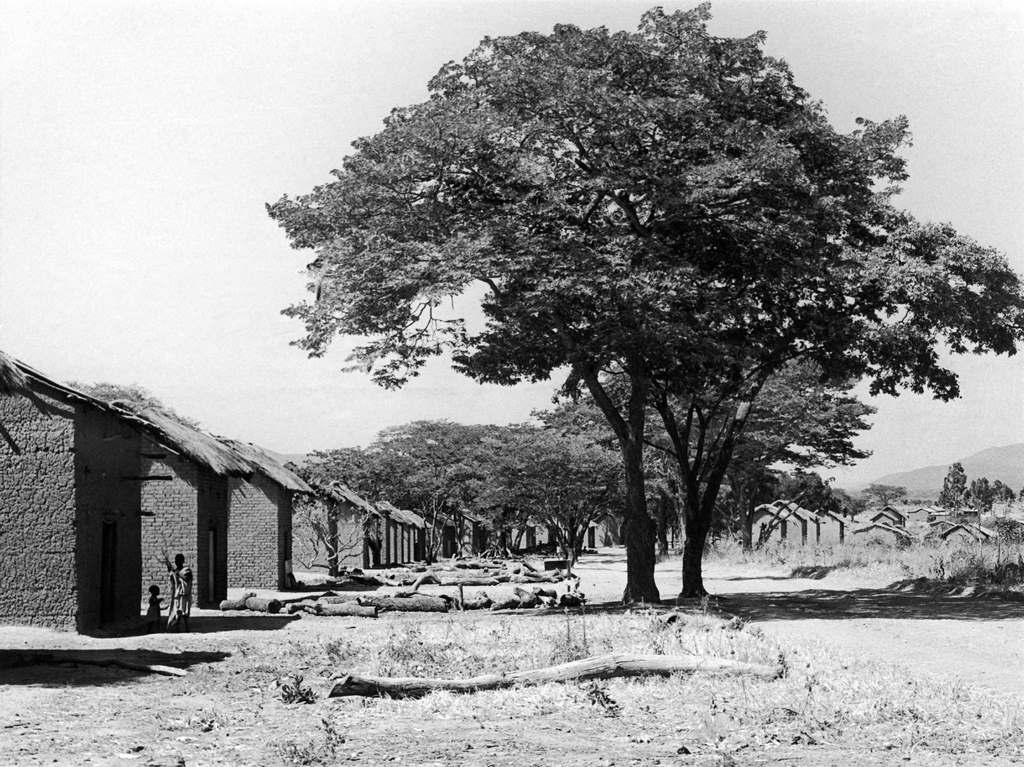 #32 Buildings for curing tobacco in an Ujamaa, a village socialist community in the village of Kivere, Tanzania, October 23, 1969.