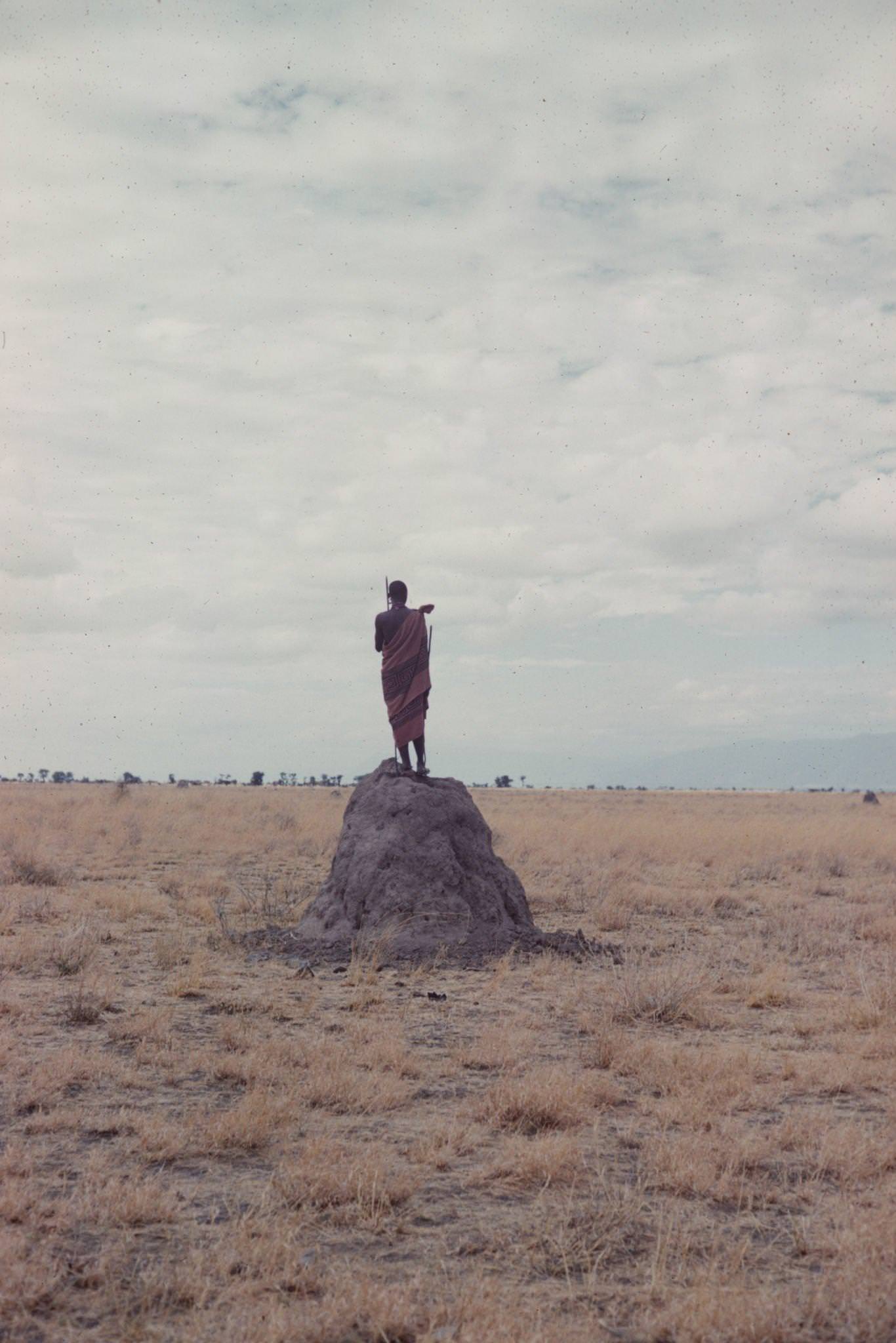 #28 A man as he stands on an ant or termite hill and looks across a field, Tanzania, 1962.