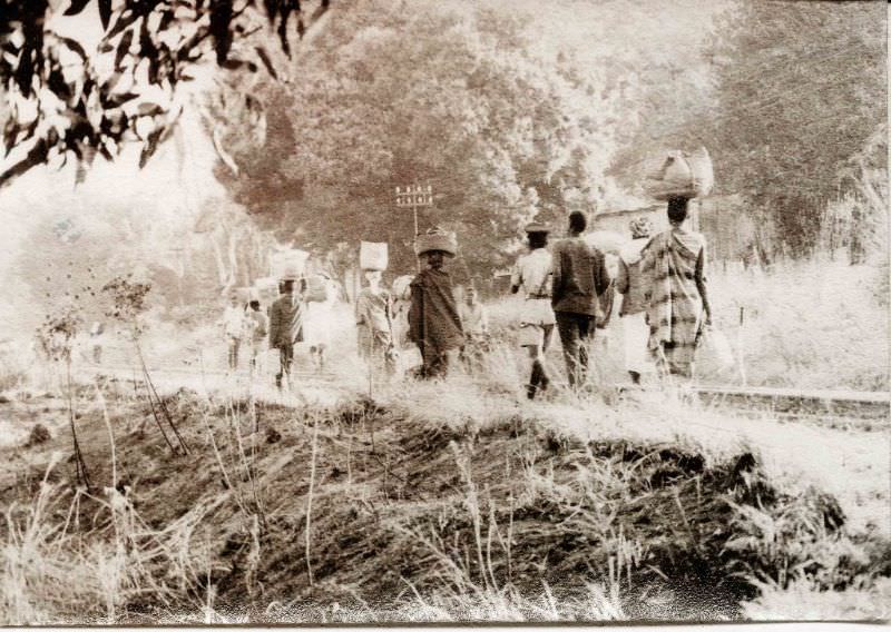 #86 Walk along a railway line, 1969