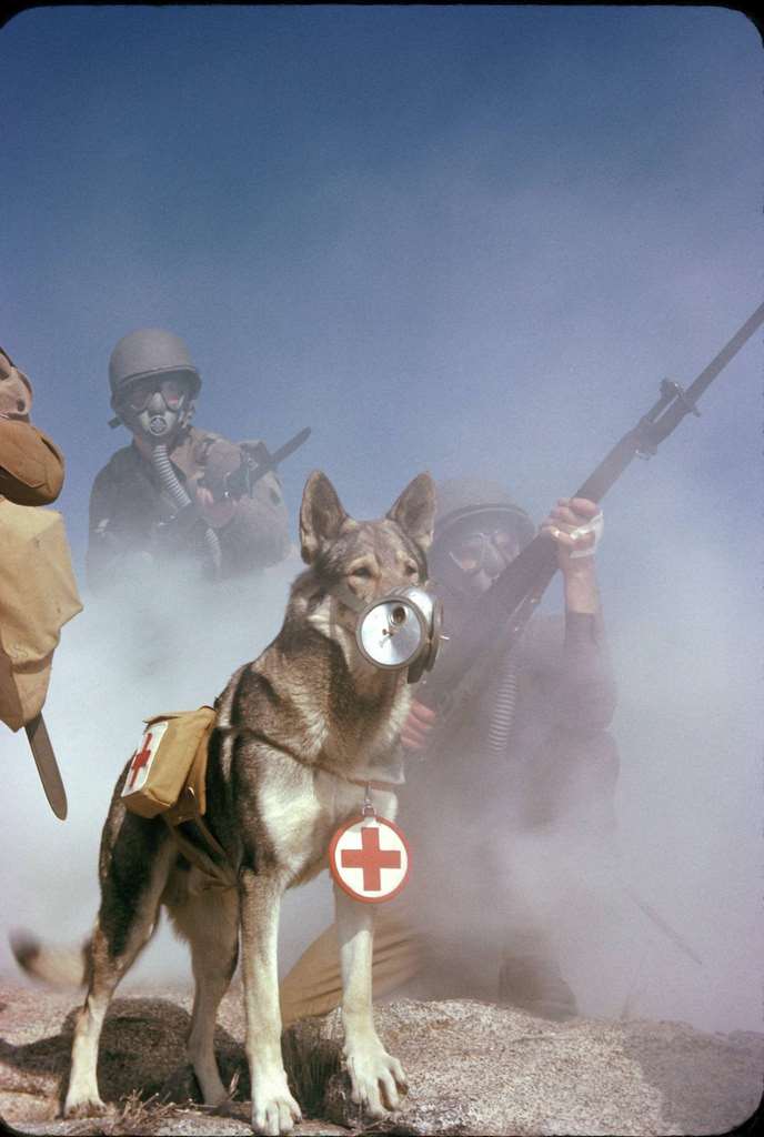 #14 A group of US Army soldiers, rifles in hand, wear gas masks during a training exercise related to chemical attacks, California, 1943.