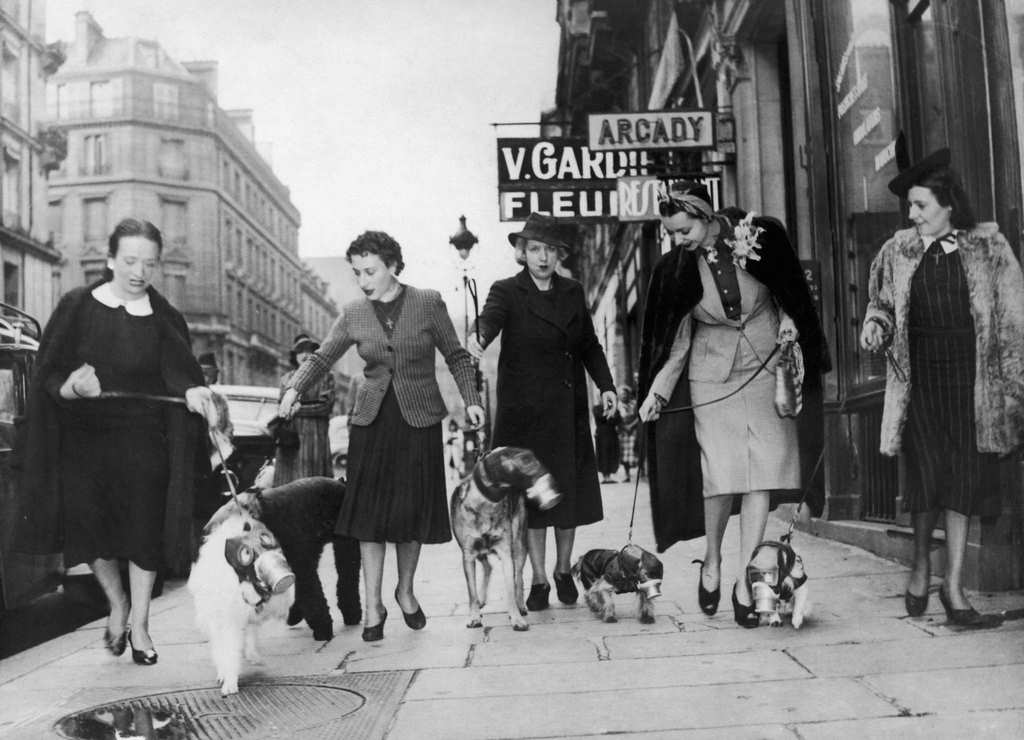 #18 Parisians Women Doing A Walk With Their Dogs Fitted With Gas Mask, Paris, 1939