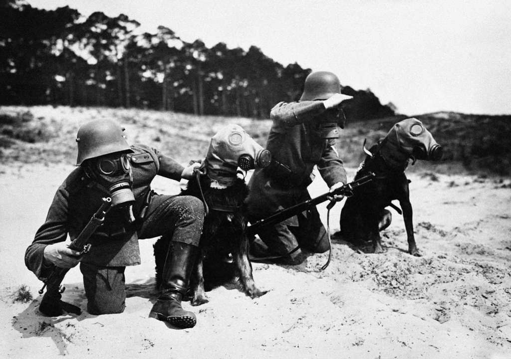 #20 Reichswehr soldiers and their dogs wearing gas masks during a military maneuver on September 10, 1932 in Germany.