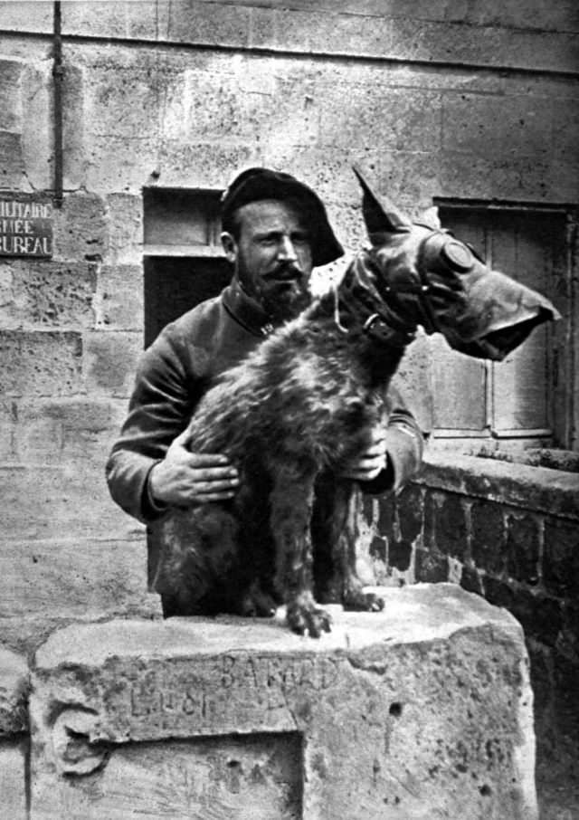 #7 A dog of the French Army. 1918.