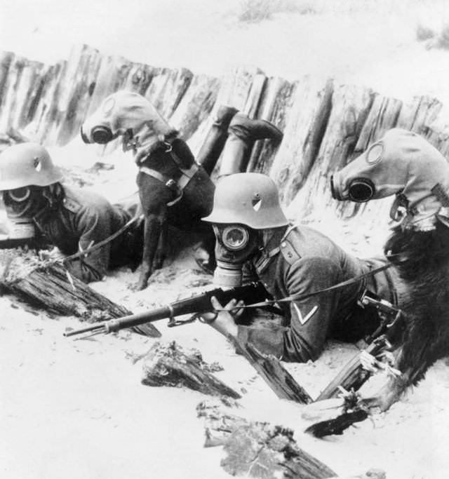 #3 Member of a Prussian Reichwehr regiment during a training exercise. The 1920s.