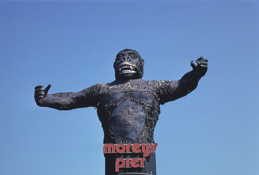 #11 Morey’s Pier, Wildwood, New Jersey, 1978