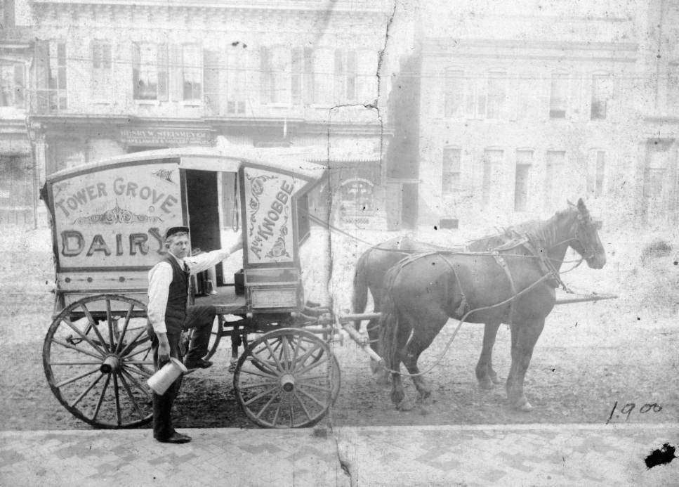 #127 An employee for the Tower Grove Dairy delivering goods to residents of St. Louis, 1900.