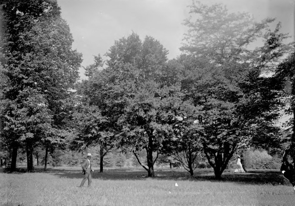 #202 People Walking Through a Park, 1903