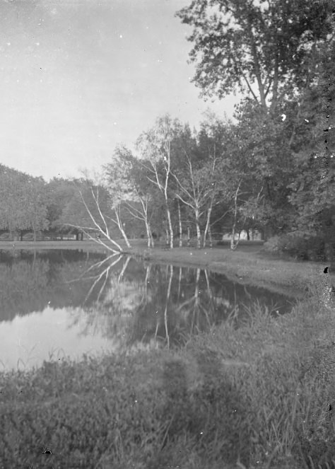 #205 Trees Reflected onto Water in a Park, 1903