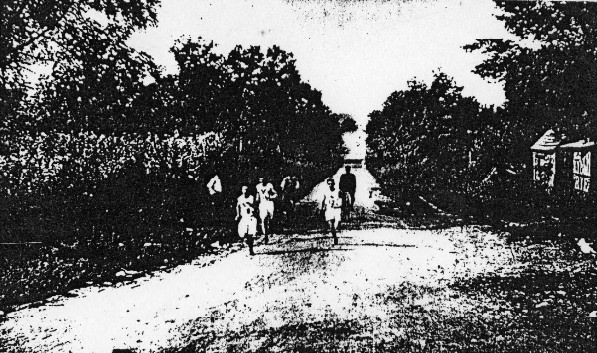 #252 On the Road, 1902