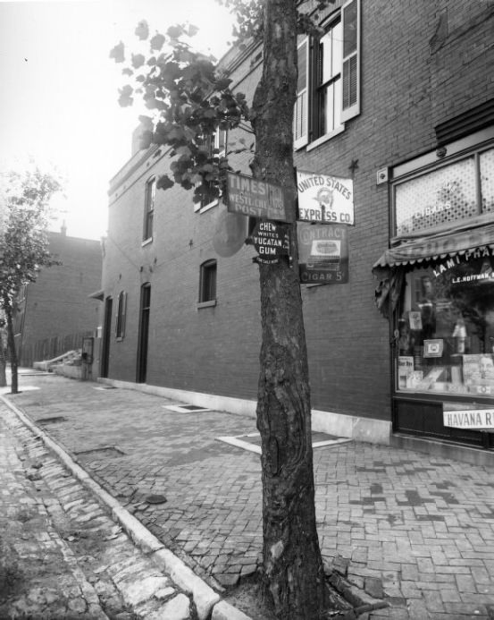 #106 Tree along South 11th Street with signs attached to it, 1904