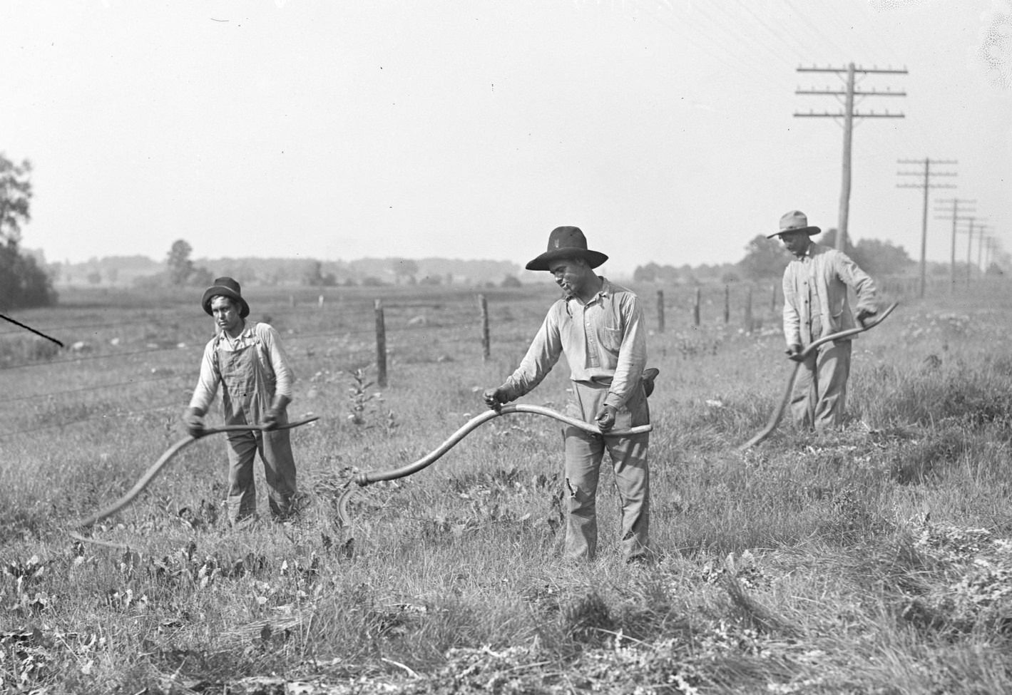#66 Mexican immigrants working with sickles to cut weeds along the side of a road, Chicago, Illinois, 1917.