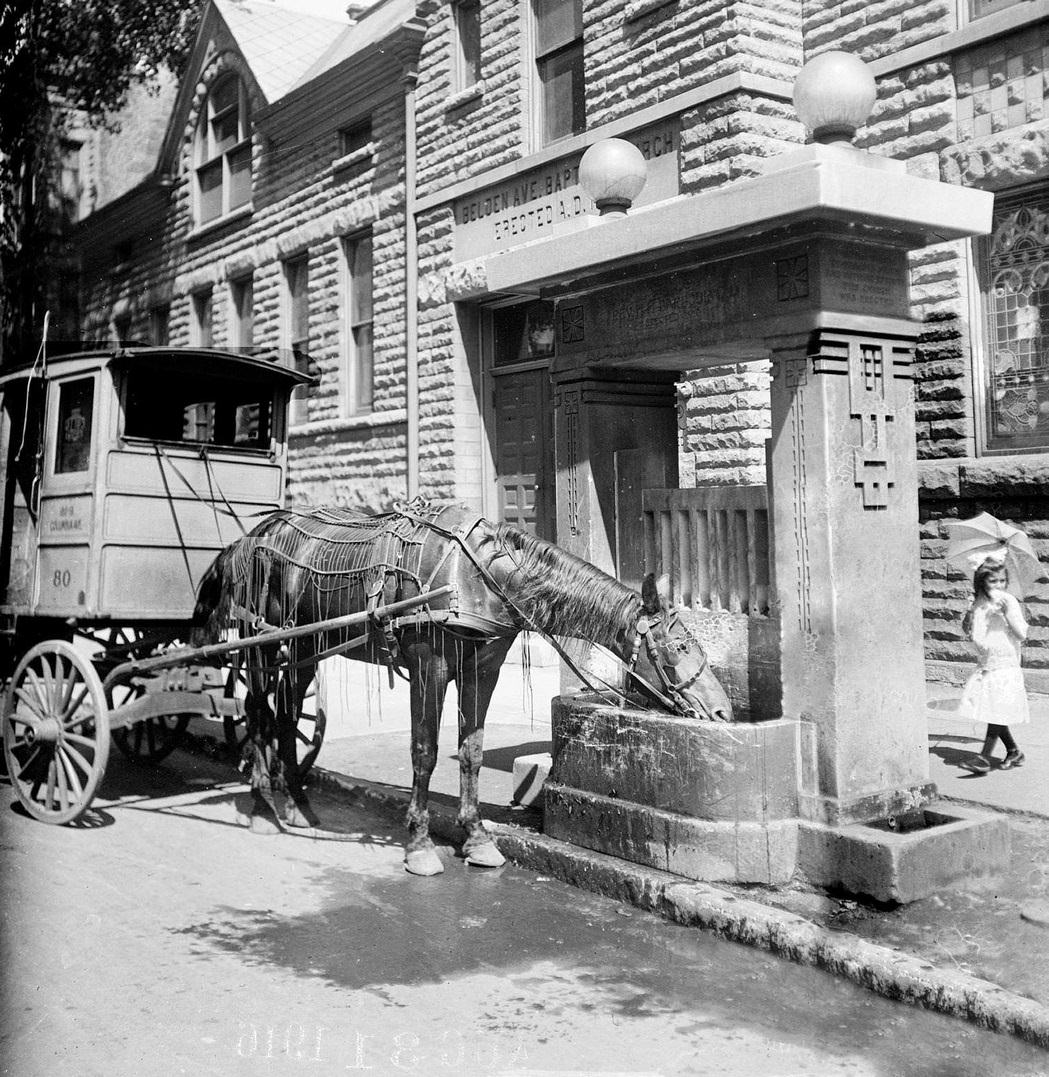 #72 A horse attached to a covered cart, drinking from a trough in front of the Belden Avenue Baptist Church in the Lincoln Park community area, Chicago, Illinois, August 31, 1916.