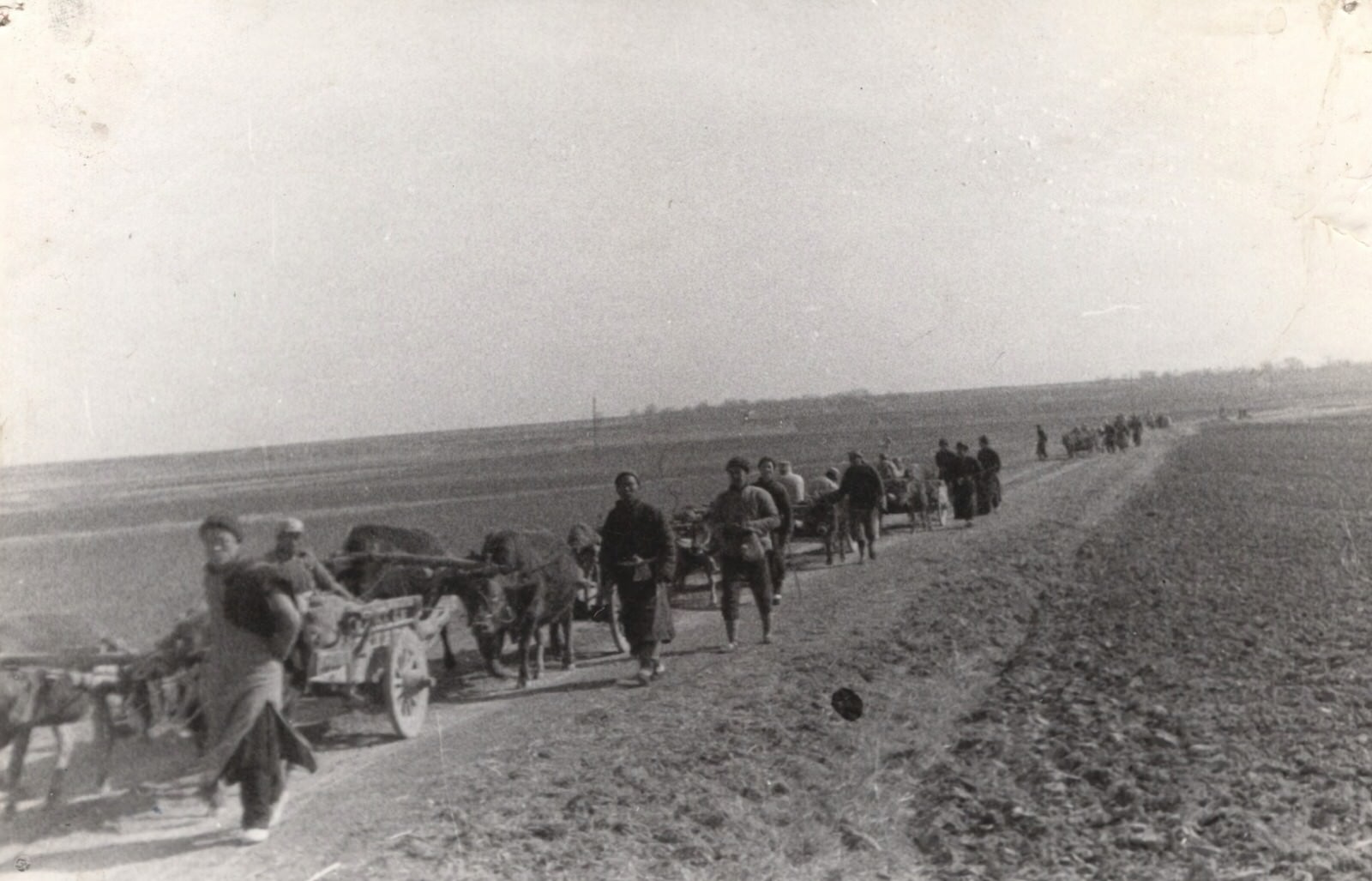 #60 The wounded were often transported on lumbering, jolting ox-carts from the Central and North China fronts, to the Han River in the rear. 1937-1940