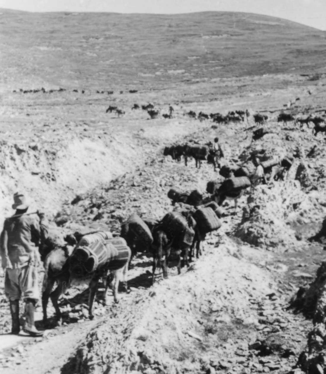 #20 A Caravan Crossing the Nyapso-la, 1944. A caravan crossing the Nyapso-la (pass) on route to China (Central Tibet).