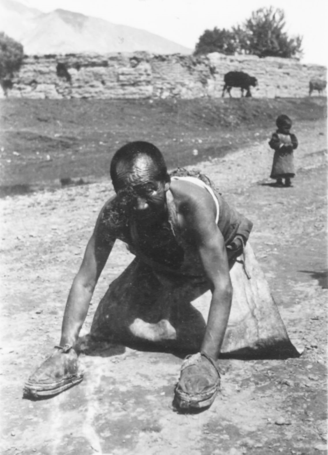 #38 Devout Pilgrim, 1944