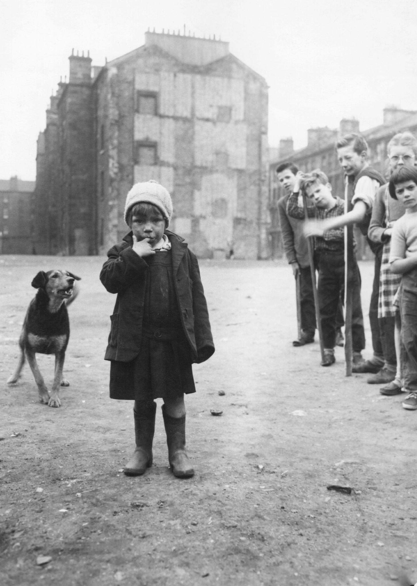 #27 A dog barks at a girl in the Surrey Lane area of the Gorbals, Glasgow, 1956