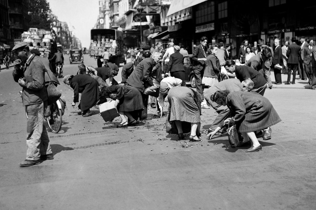 #11 Parisians collect cherries fallen from a truck on a boulevard near Les Halles district, in June 1946 in Paris.