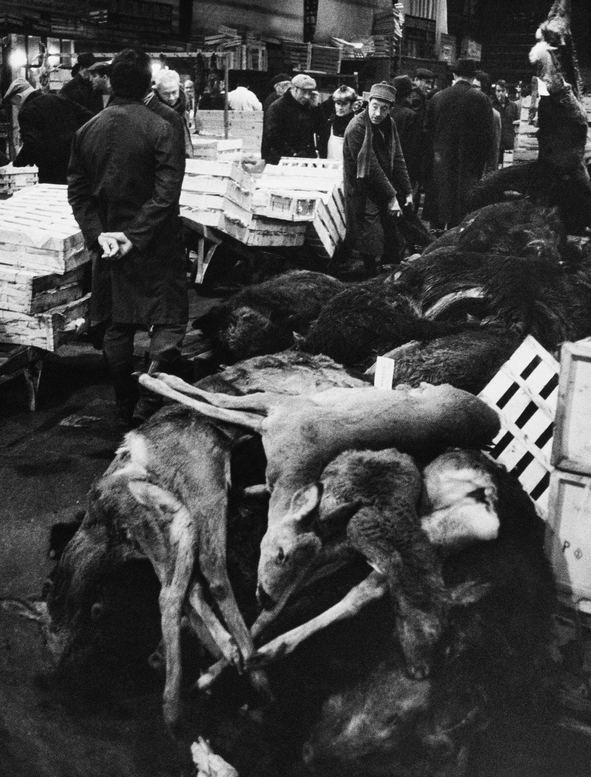 #13 A Good Hunting, The Halles , 1960s