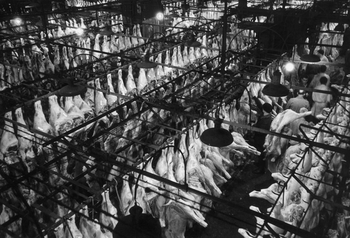 #46 The Meat Unit of Les Halles, 1955