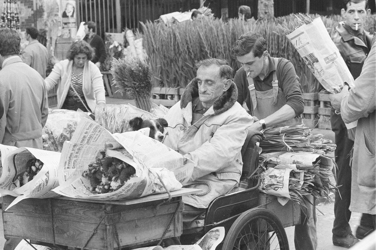#95 Detached house of flowers to the market of Les Halles in Paris, 1967