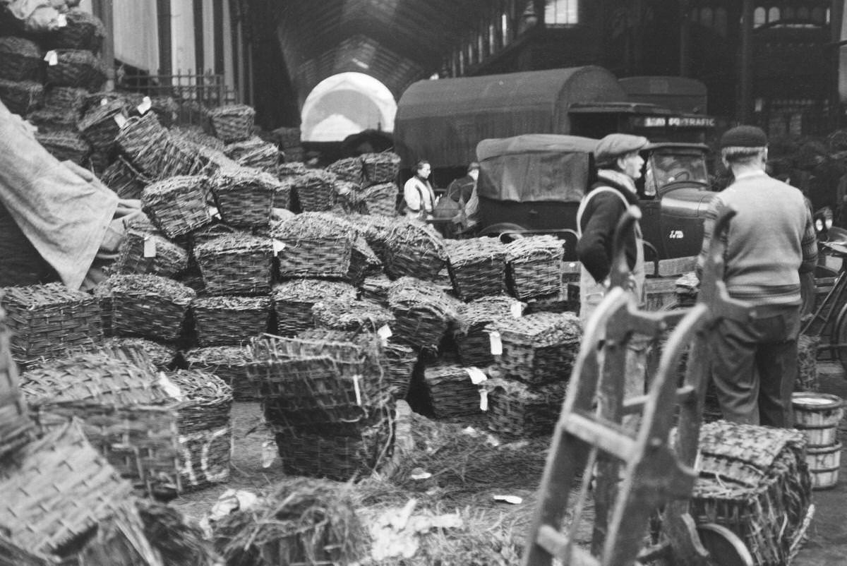 #24 Arrival of oysters at the Les Halles market for the end of year celebrations, December 23, 1936