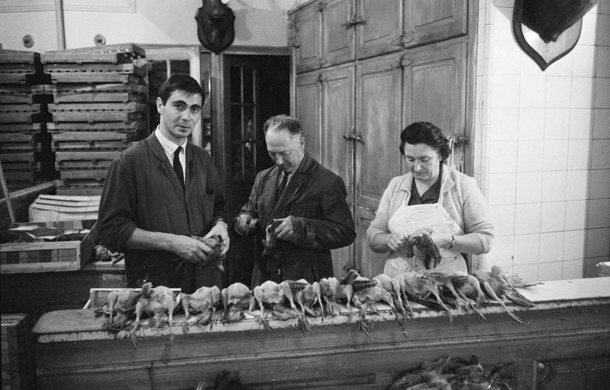 #119 Halles employees pluck the first partridges slaughtered this season, in Paris, 1966