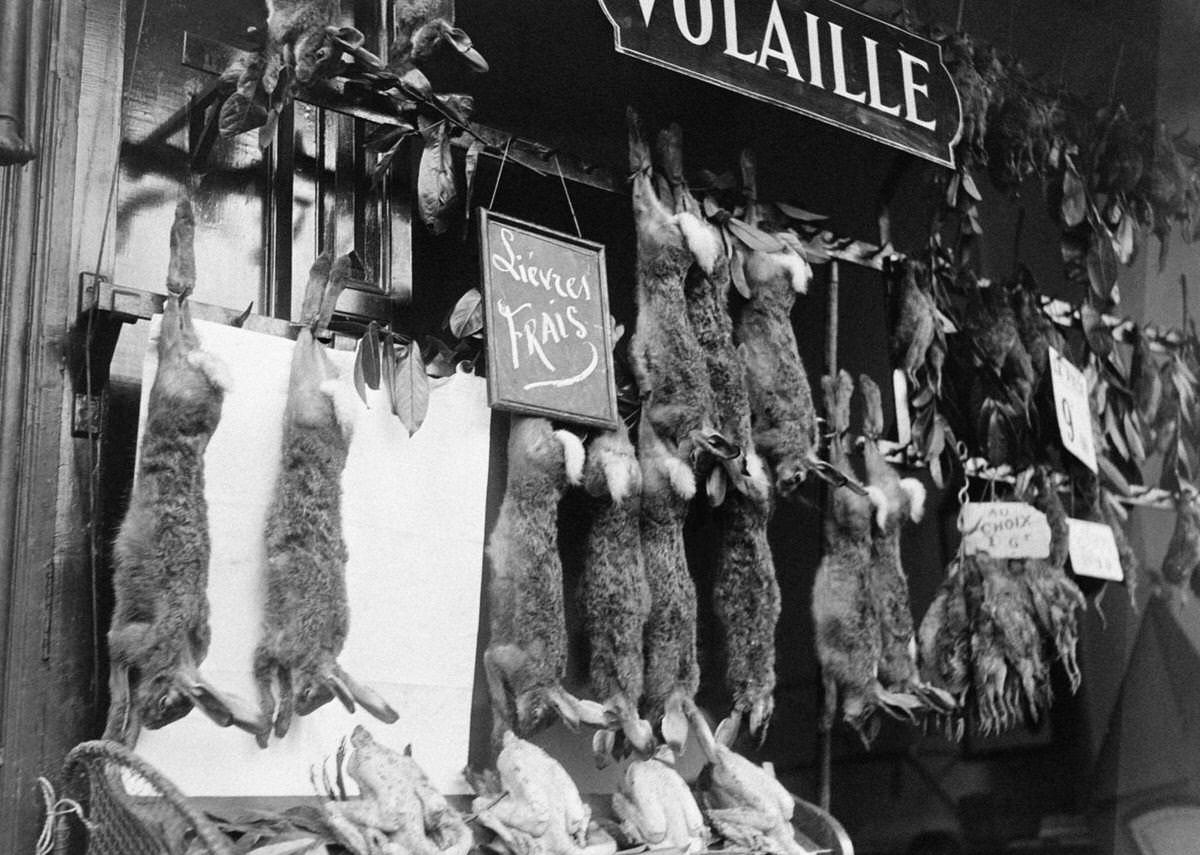 #34 Stall of hares at Les Halles, in Paris, 1933