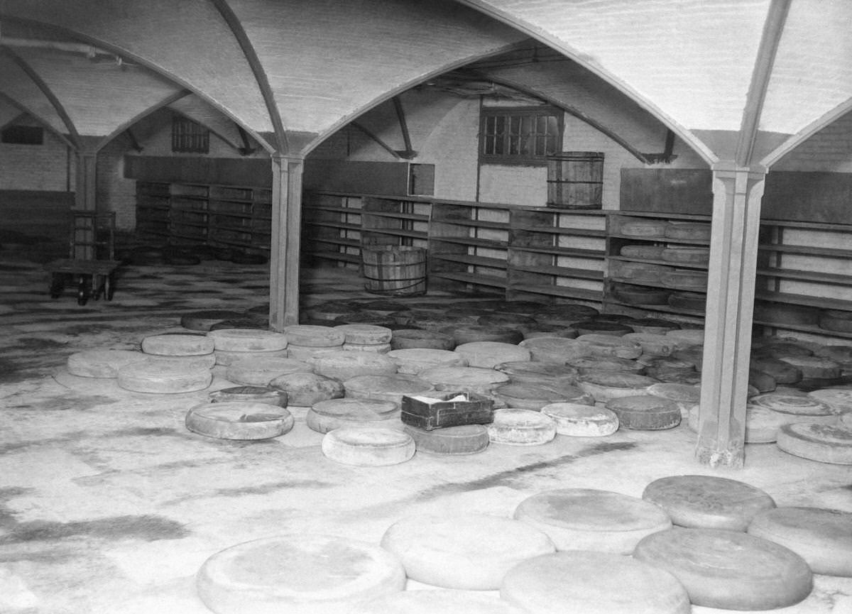 #52 Inauguration of a room in the cellars of Les Halles for the conservation of cheeses, in Paris, 1930