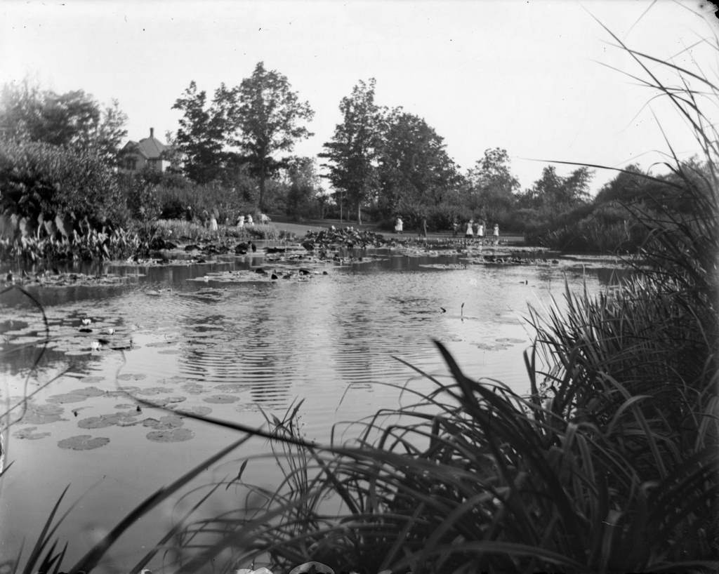#112 A large lily pond at Humboldt Park, Milwaukee, Wisconsin, August 28, 1898.