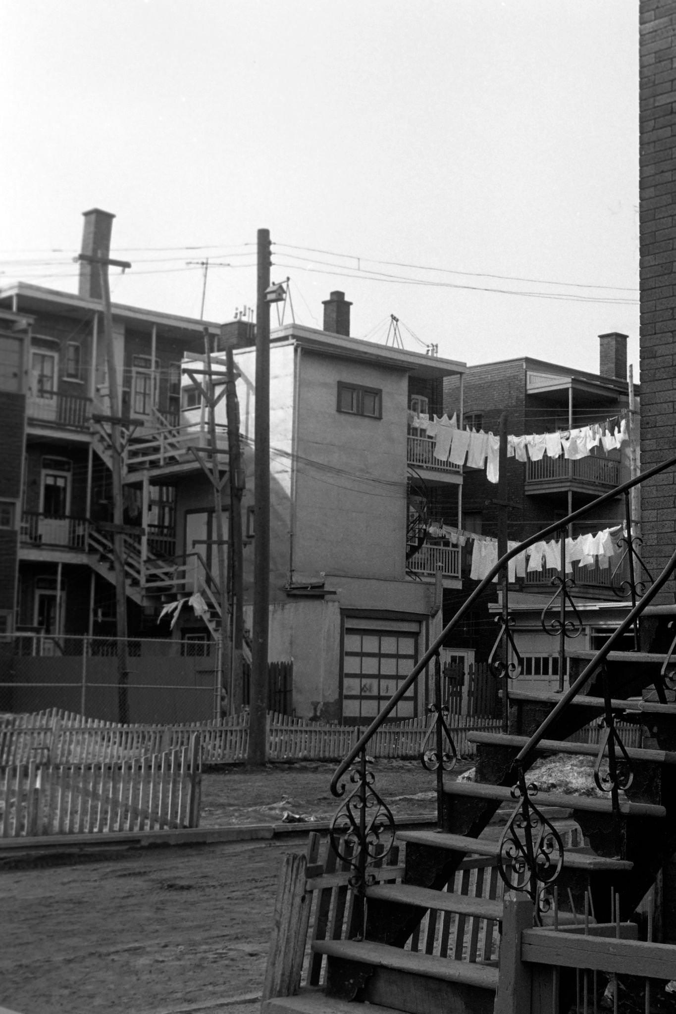#110 Plateau Mont-Royal, Montreal, 1962.