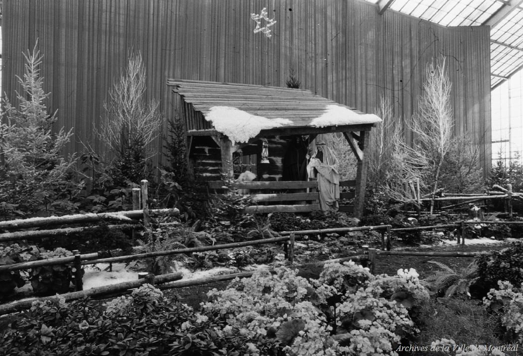#28 Nativity scene at the Botanical Garden, 1963