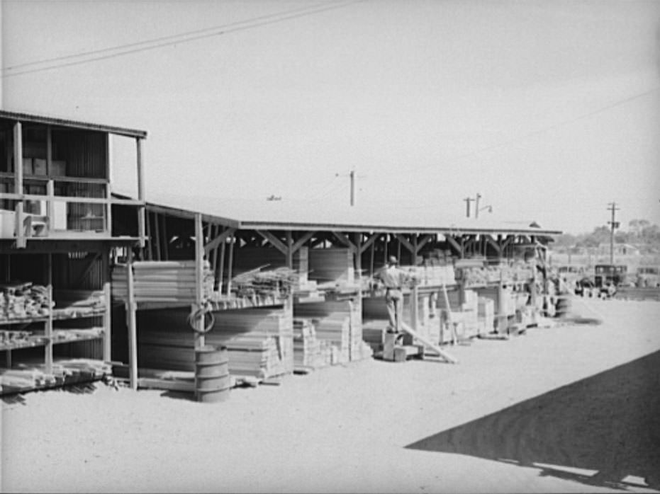 #114 A complete line of cut lumber is carried by the United Producers and Consumers Cooperative at Phoenix, Arizona, 1940