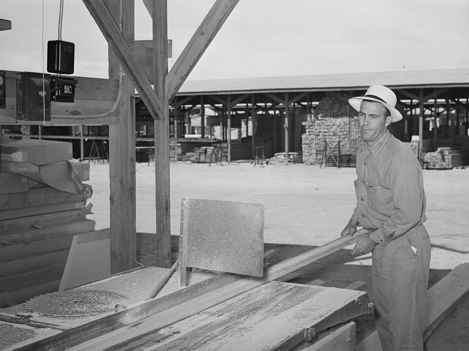 #123 Lumber is sawed to size and order at the United Producers and Consumer Cooperative at Phoenix, Arizona, 1940