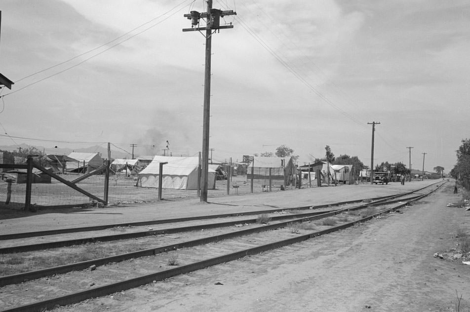 #106 Tents used for dwellings near the railroad tracks in Phoenix, Arizona, 1940